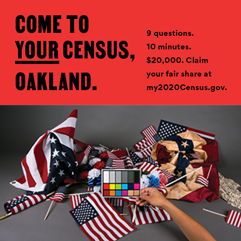 Come To Your Census, Oakland — Stephanie Syjuco.