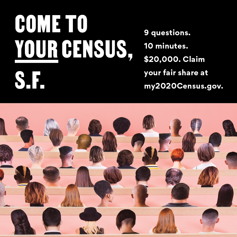 Come To Your Census, S.F. — Marcela Pardo Ariza