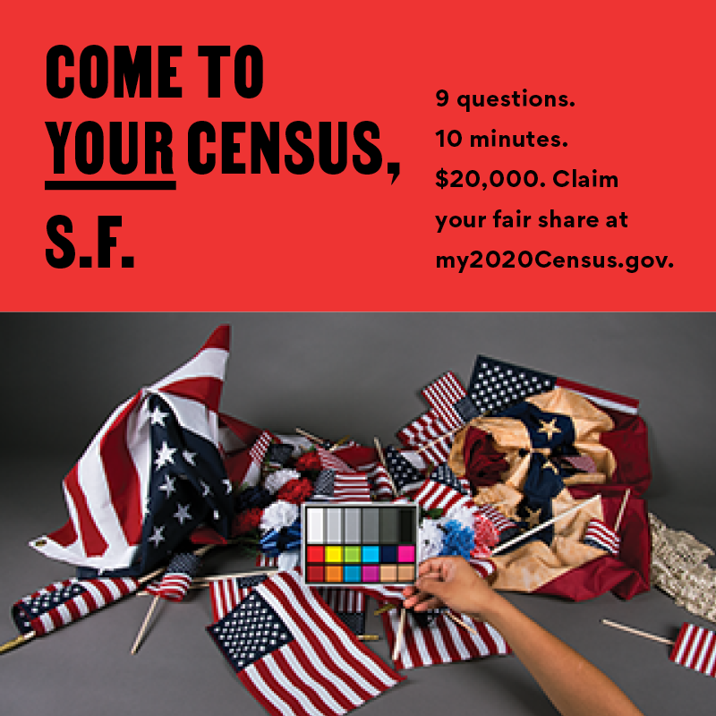Come To Your Census, S.F. — Stephanie Syjuco